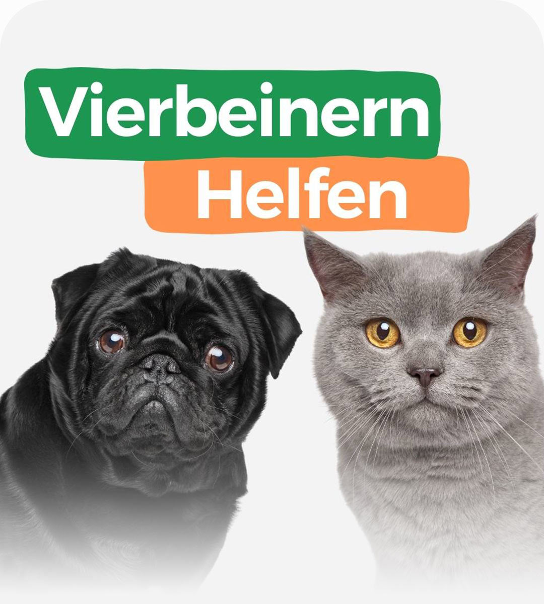 fellohr: Vierbeinern helfen Mobile Banner