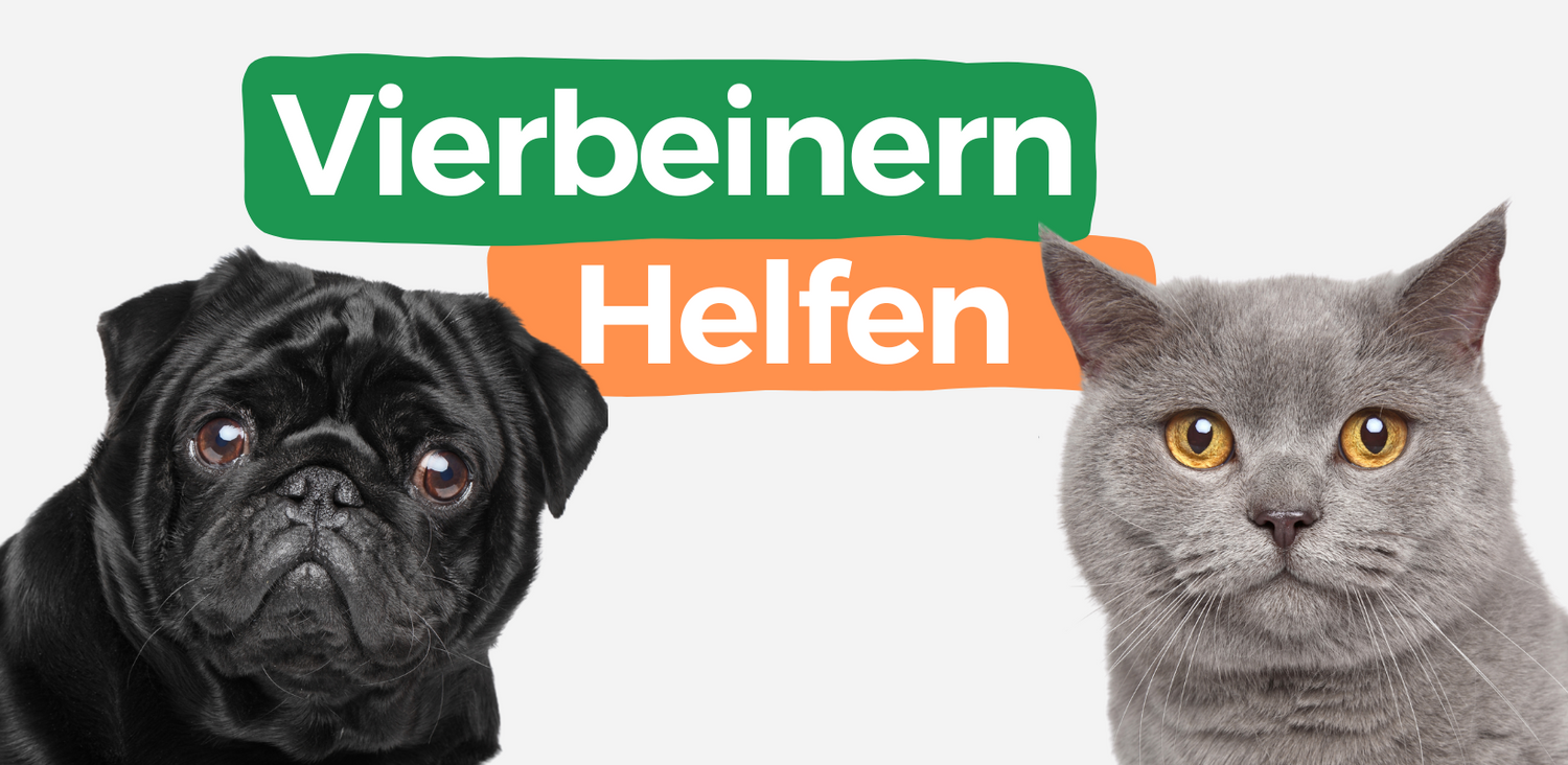 fellohr: Charity für Tiere Mobile Banner