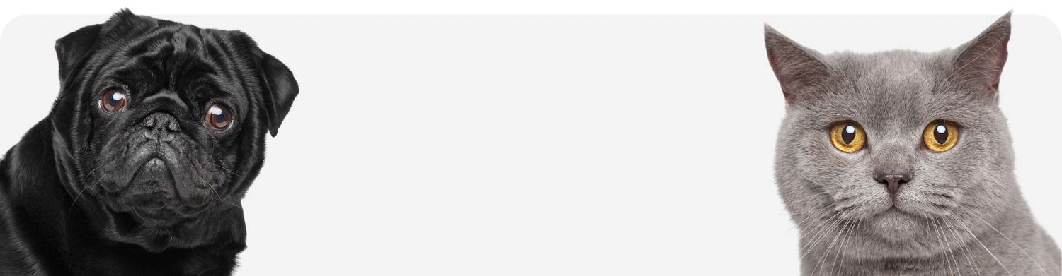 fellohr: Hunde & Katzen Banner