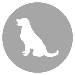 fellohr: Icon Hundezubehör