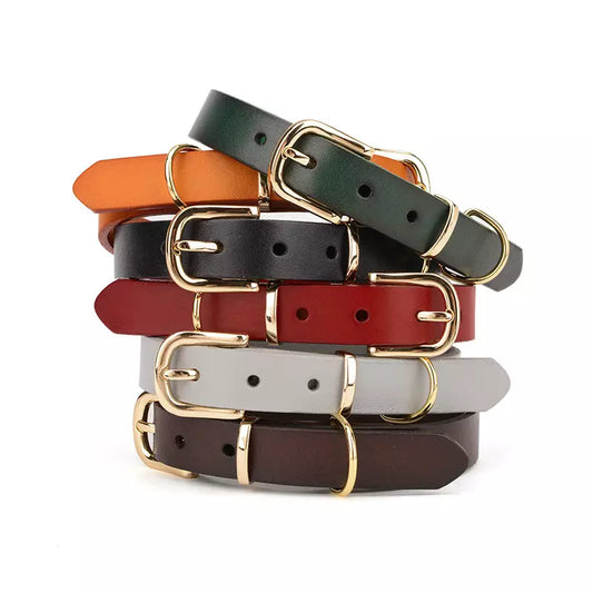 Einstellbares Echtleder Hunde Tier Halsband in 5 Farben & 3 Größen jetzt kaufen