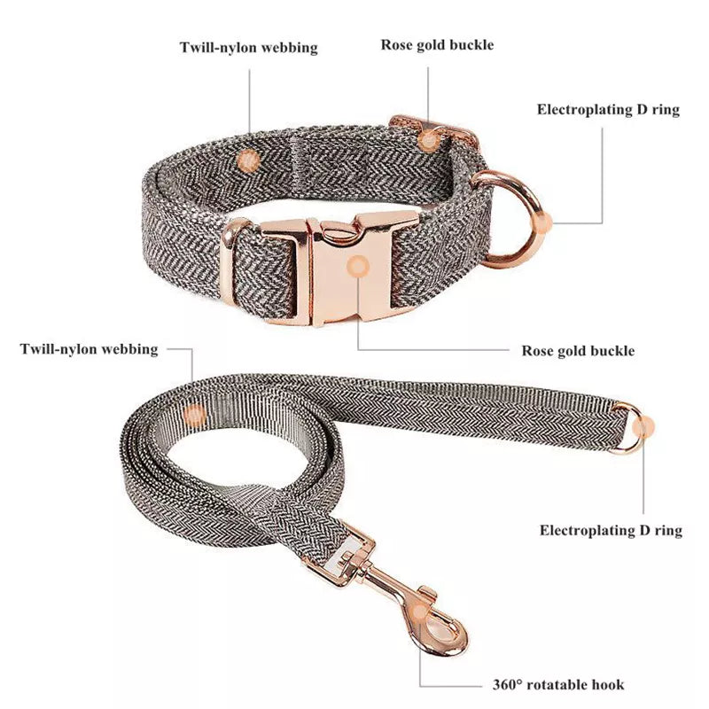 Verstellbares Hundehalsband mit Leine (2m) Set Fischgrätenmuster