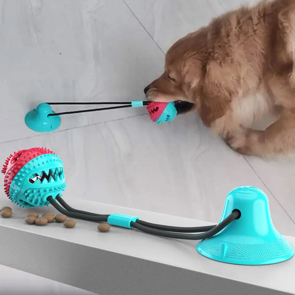 Kauball Hund Saugnapf Interaktives Welpen Hundespielzeug Futterspender Detailbild
