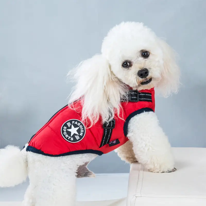 Wasserdichter Hundemantel Regenjacke warm mit Brustgeschirr 5 Farben 3 Größen