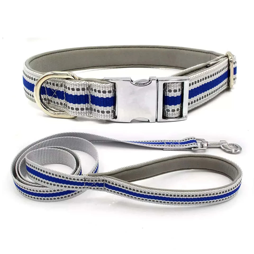 2er Set Reflektierendes Halsband und Leine für Hunde in Blau