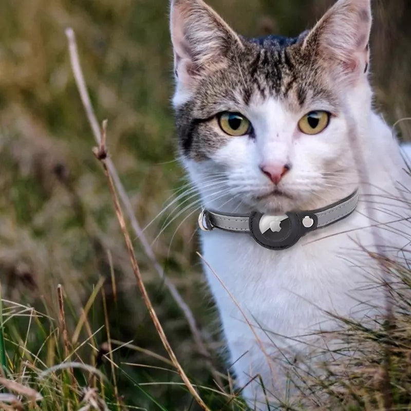 Reflektierendes Airtag Welpen & Katzen Halter Halsband 3 Farben