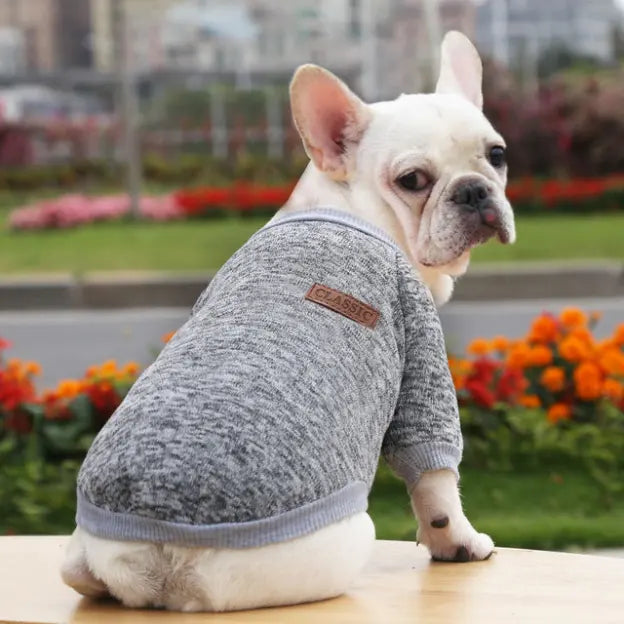Sweater Hundesweatshirt Sweatshirt Pullover Pulli für Hunde - 3 Farben & 2 Größen