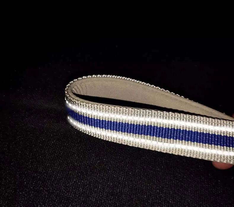 2er Set Reflektierendes Halsband und Leine für Hunde in Blau Detailaufnahme