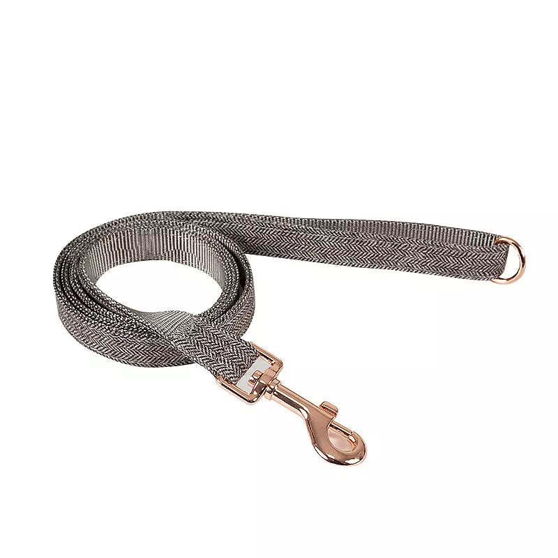 Verstellbares Hundehalsband mit Leine (2m) Set Fischgrätenmuster