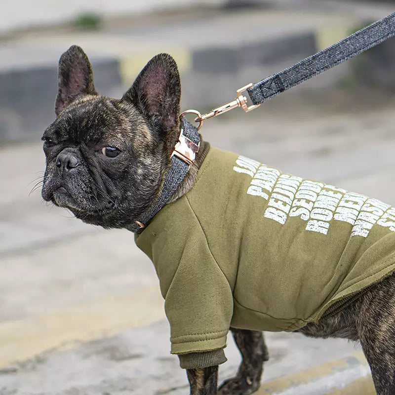 Verstellbares Hundehalsband mit Leine (2m) Set Fischgrätenmuster
