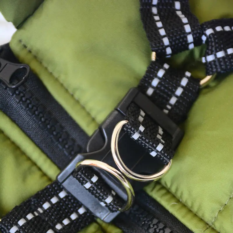 Wasserdichter Hundemantel Regenjacke warm mit Brustgeschirr 5 Farben 3 Größen