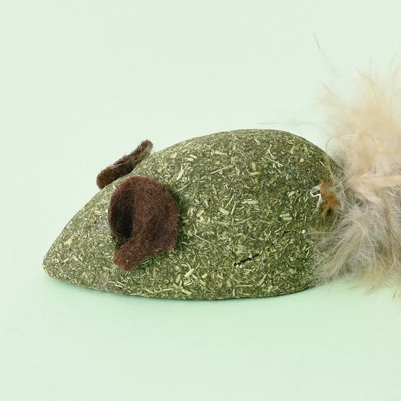 Katzenminze Snack Katzenspielzeug Zahnreinigung Maus & Fisch 2er-Set