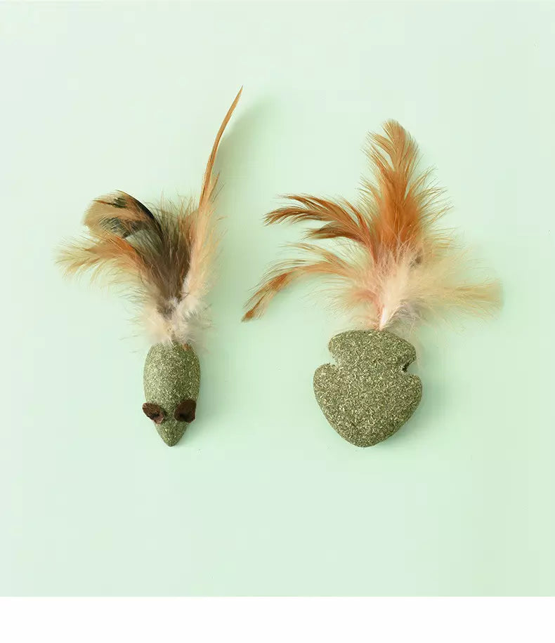 Katzenminze Snack Katzenspielzeug Zahnreinigung Maus & Fisch 2er-Set
