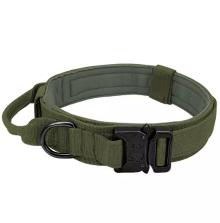 Nylon Outdoor Halsband mit Griff in 3 Farben