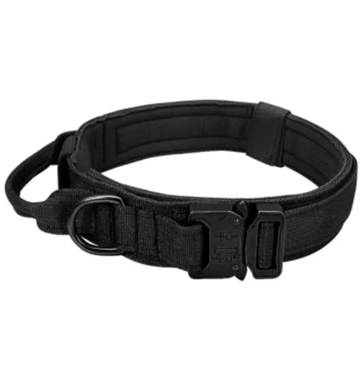 Nylon Outdoor Halsband mit Griff in 3 Farben