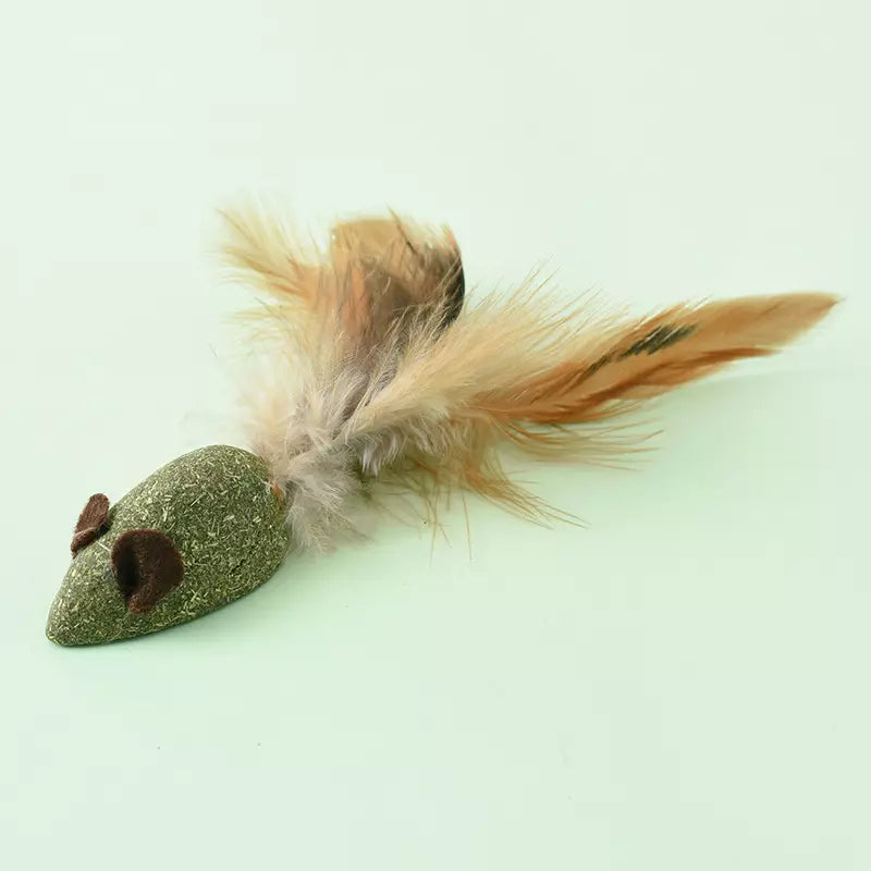 Katzenminze Snack Katzenspielzeug Zahnreinigung Maus & Fisch 2er-Set