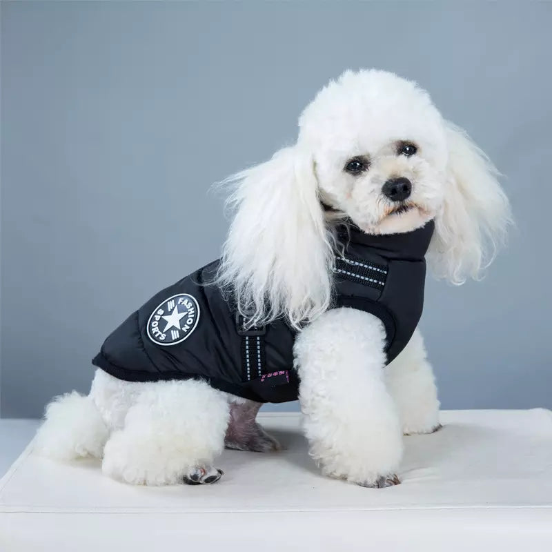 Wasserdichter Hundemantel Regenjacke warm mit Brustgeschirr 5 Farben 3 Größen