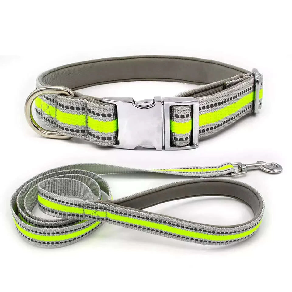 2er Set Reflektierendes Halsband und Leine für Hunde
