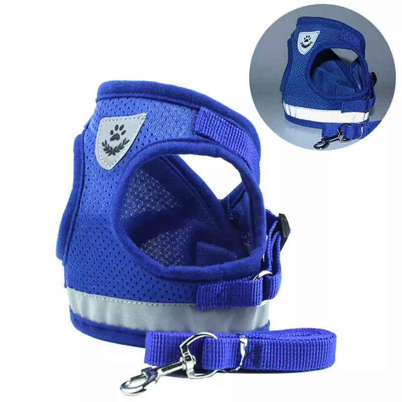 Brustgeschirr Laufgeschirr für Hunde inklusive Leine und Reflektor Detailaufnahme Blau
