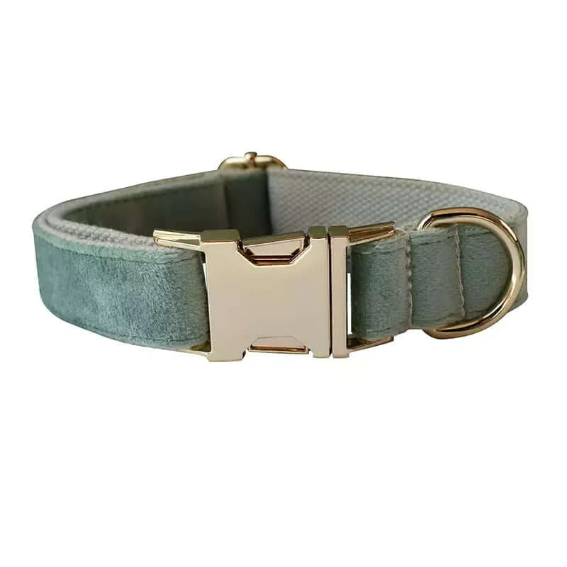 3er Set Samt Leine mit verstellbarem Hundehalsband und Schleife