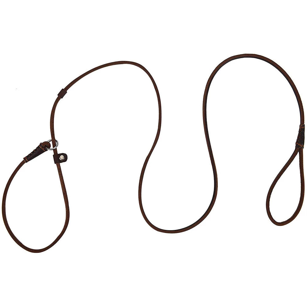 Lederleine Hundeleine Leine mit Halsband aus einem Stück Echtleder verstellbar & lautlos