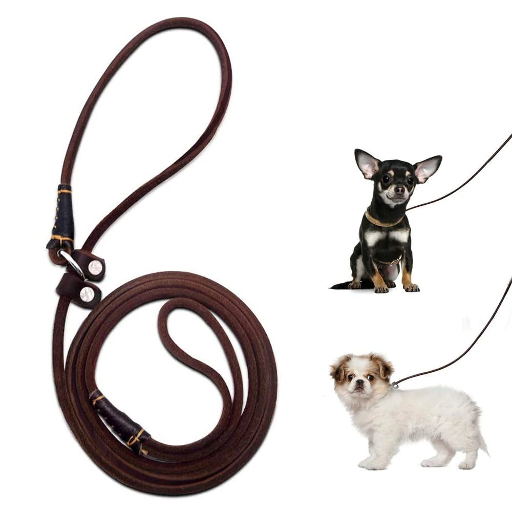 Lederleine Hundeleine Leine mit Halsband aus einem Stück Echtleder verstellbar & lautlos
