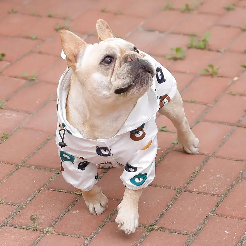 Hunde Regenjacke Mantel Wasserdicht Allwetter Haustier Bekleidung buntes Bärenmuster Detailbild