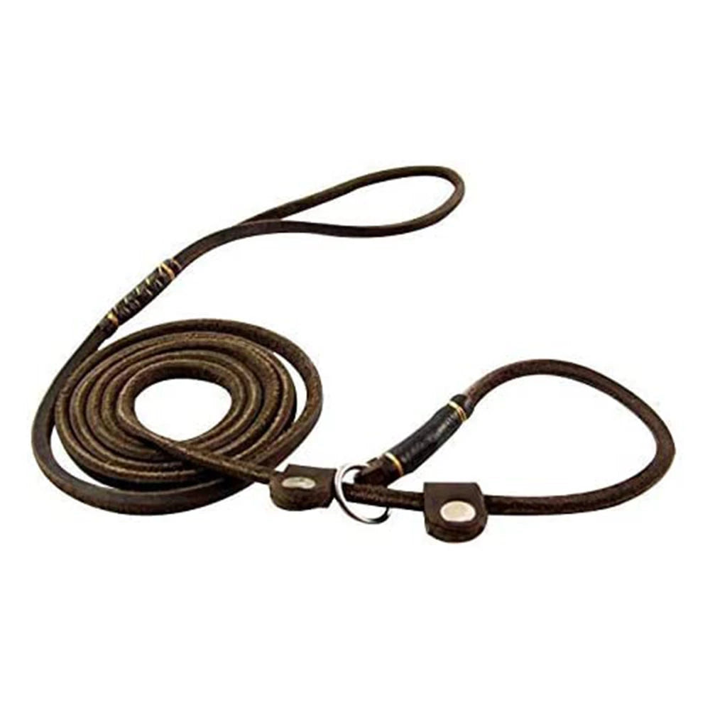 Lederleine Hundeleine Leine mit Halsband aus einem Stück Echtleder verstellbar & lautlos