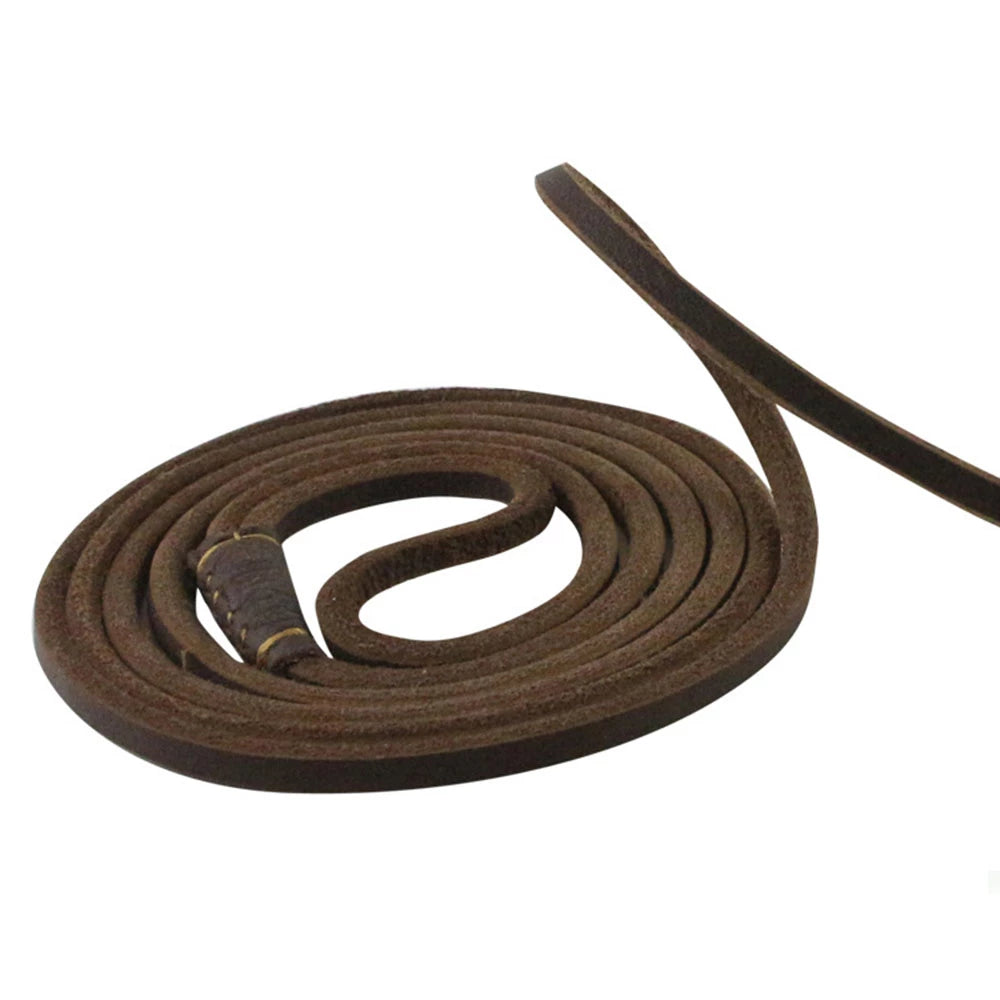 Lederleine Hundeleine Leine mit Halsband aus einem Stück Echtleder verstellbar & lautlos