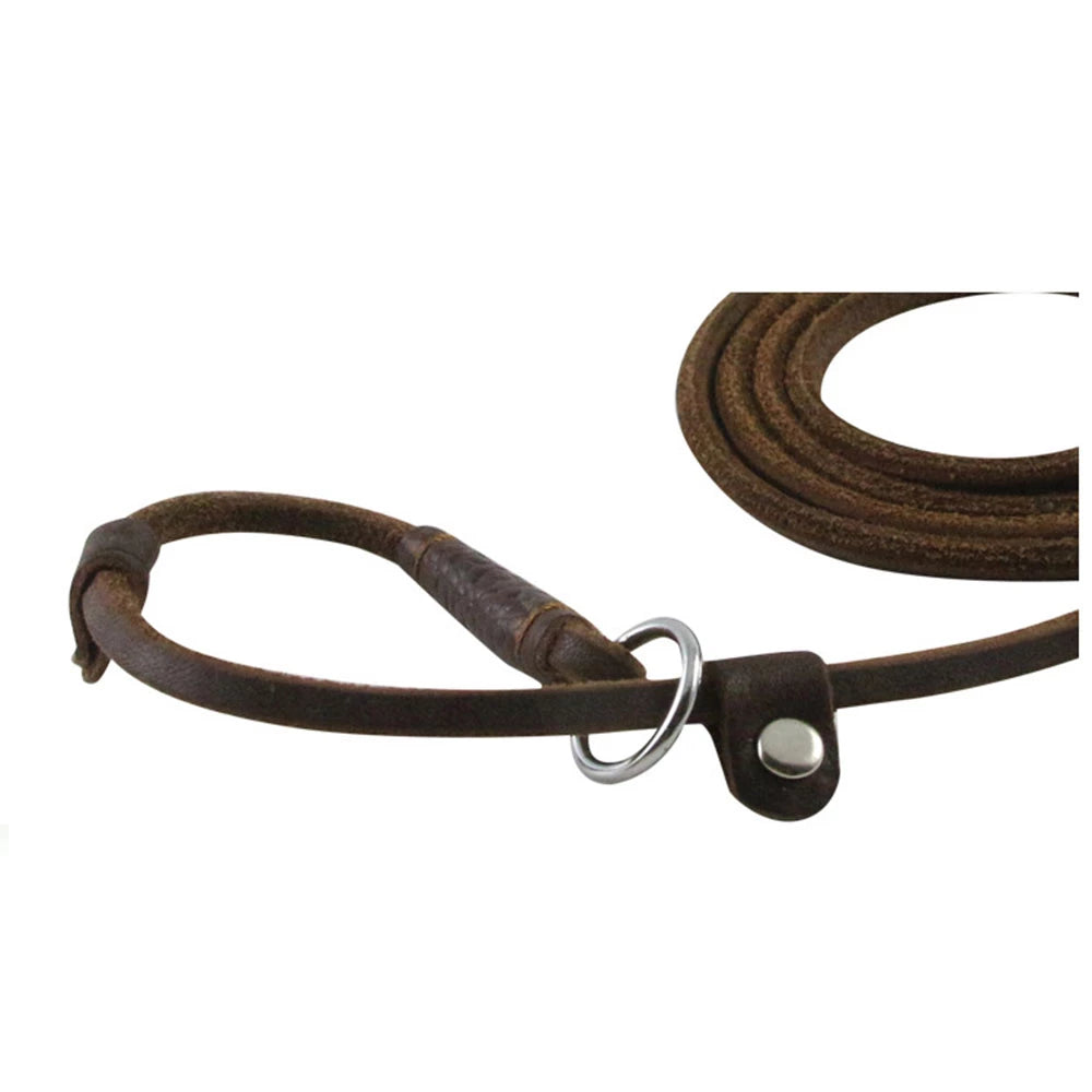 Lederleine Hundeleine Leine mit Halsband aus einem Stück Echtleder verstellbar & lautlos