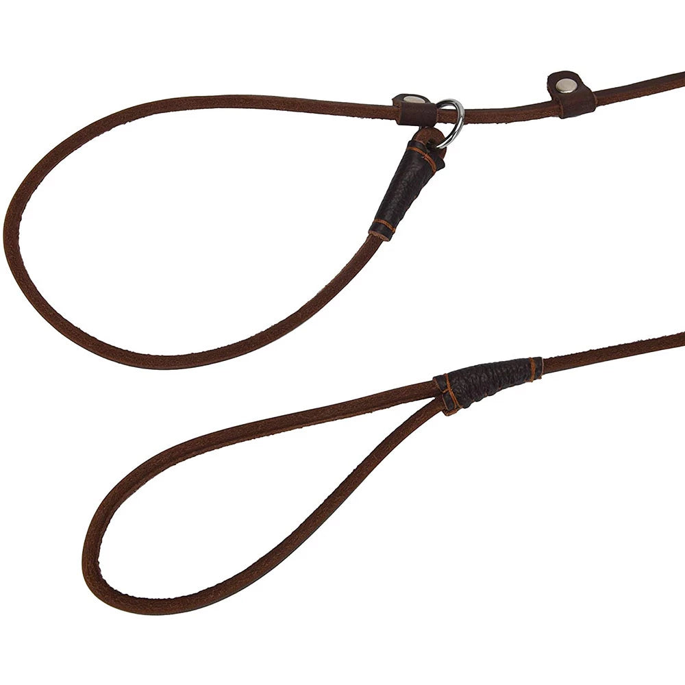 Lederleine Hundeleine Leine mit Halsband aus einem Stück Echtleder verstellbar & lautlos
