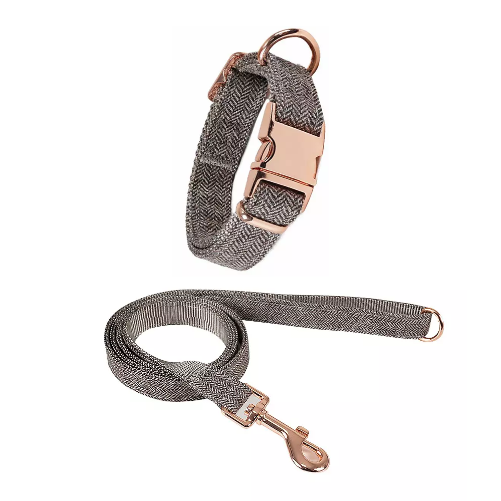 Verstellbares Hundehalsband mit Leine (2m) Set Fischgrätenmuster
