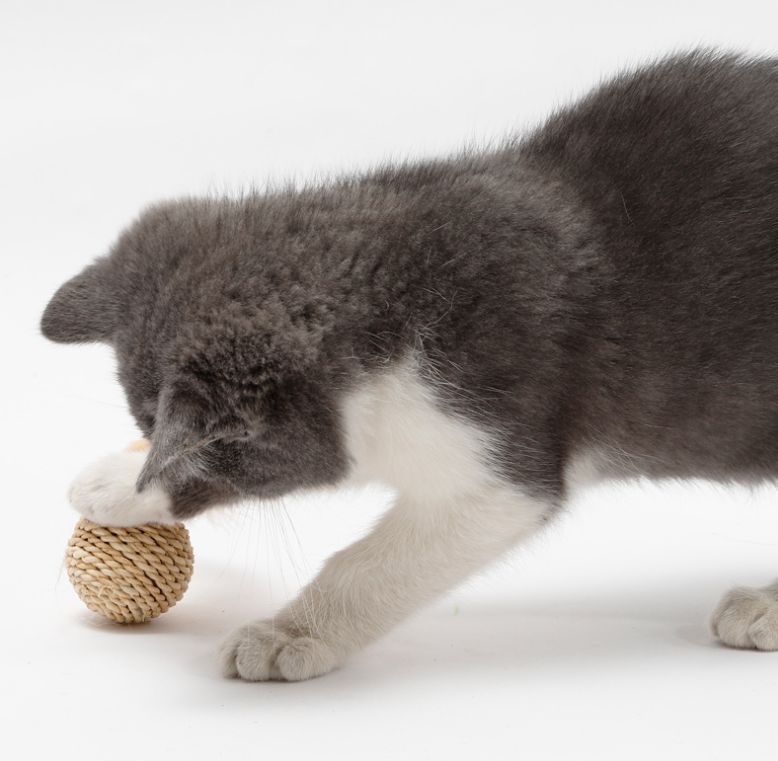 Katzenspielzeug Feder-Rattan-Ball mit Glöckchen Katzenball