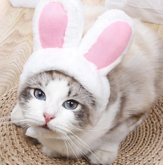 Bunny-Ohren Katzen Kostüm Kopfbedeckung