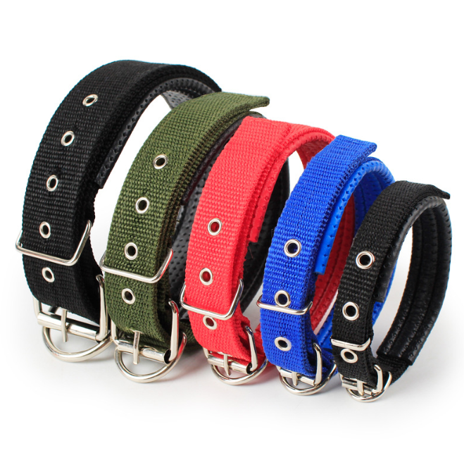 Hundehalsband Robust Verstellbar mit D-Ring Nylon Welpen Gepolstertes Halsband Detailbild Alle Farben