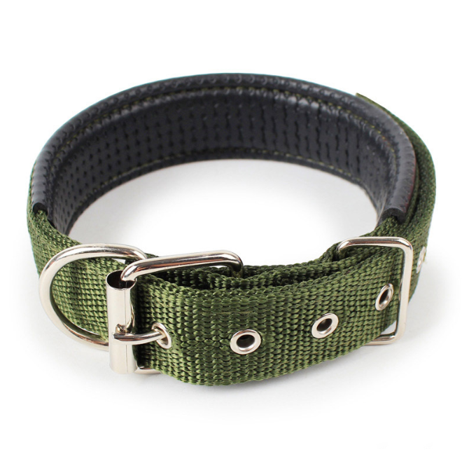 Hundehalsband Robust Verstellbar mit D-Ring Nylon Welpen Gepolstertes Halsband Detailbild Grün