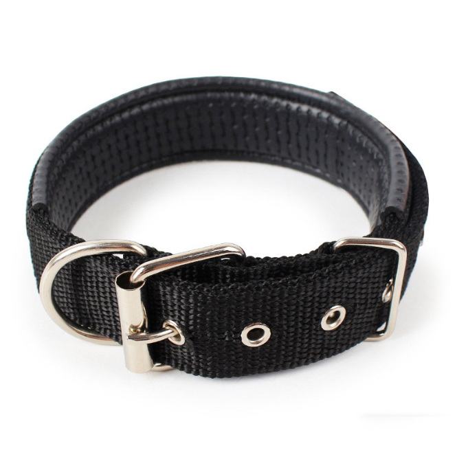 Hundehalsband Robust Verstellbar mit D-Ring Nylon Welpen Gepolstertes Halsband Detailbild Schwarz