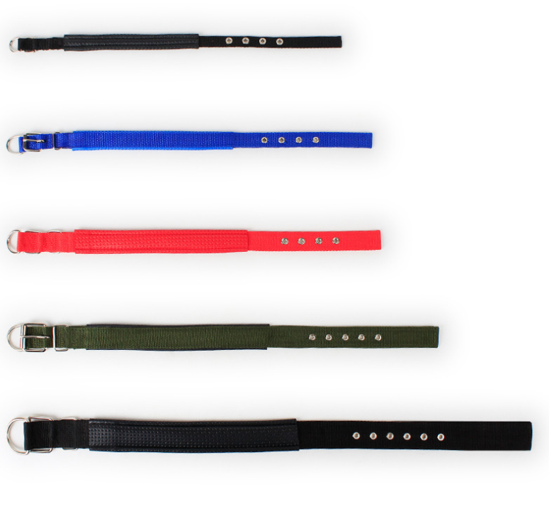 Hundehalsband Robust Verstellbar mit D-Ring Nylon Welpen Gepolstertes Halsband Detailbild Alle Farben
