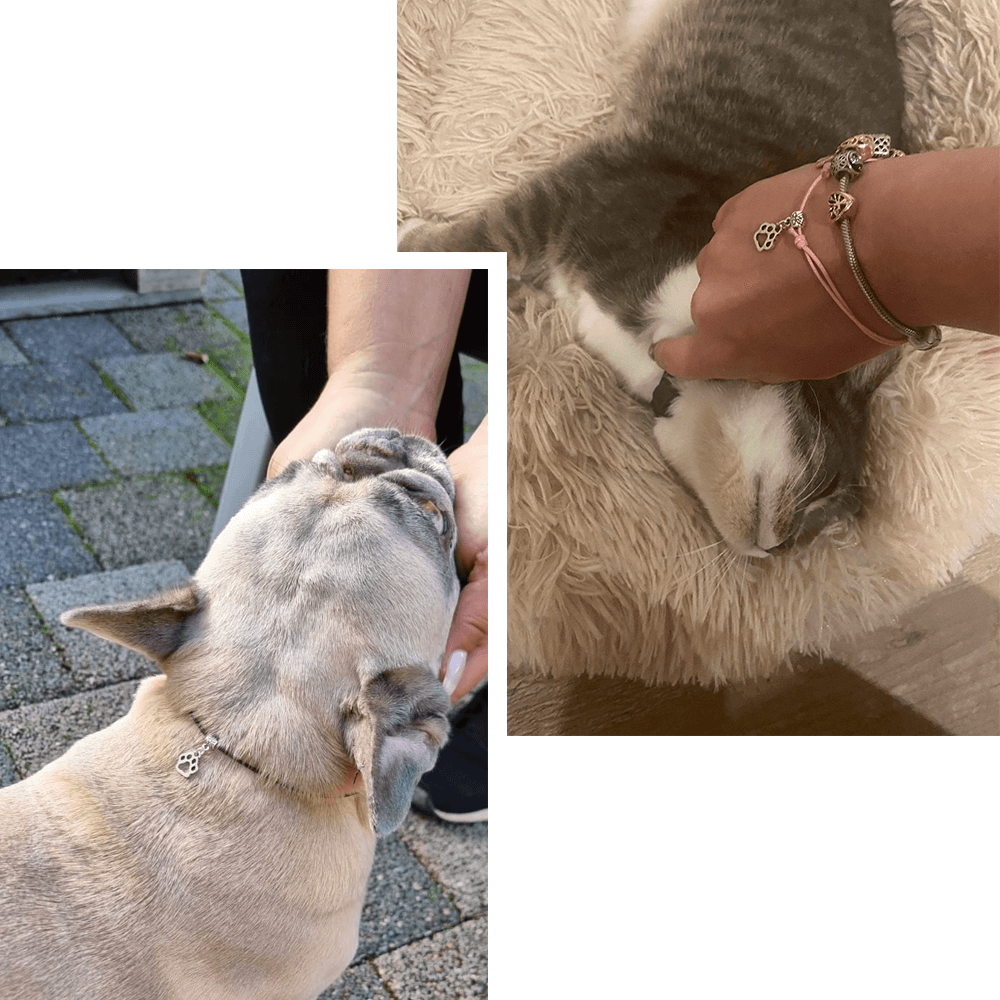 Armband Fußkettchen Größenverstellbar Silber Pfote Tierhilfe Charity mit Tatze Hellbraun
