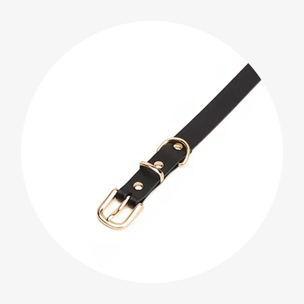 Einstellbares Echtleder Hunde Tier Halsband in 5 Farben & 3 Größen jetzt kaufen
