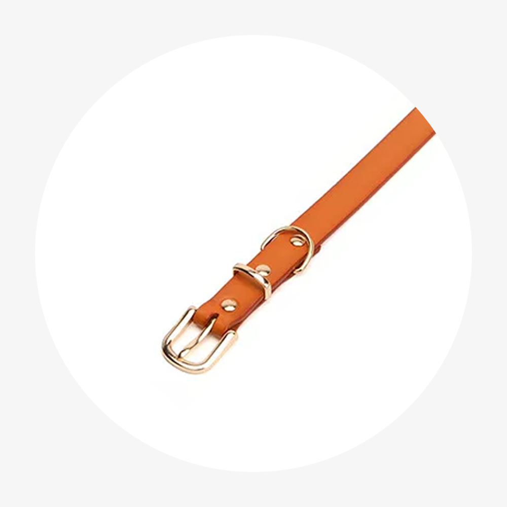 Einstellbares Echtleder Hunde Tier Halsband in 5 Farben & 3 Größen jetzt kaufen