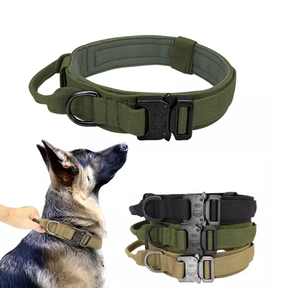 Nylon Outdoor Halsband mit Griff in 3 Farben