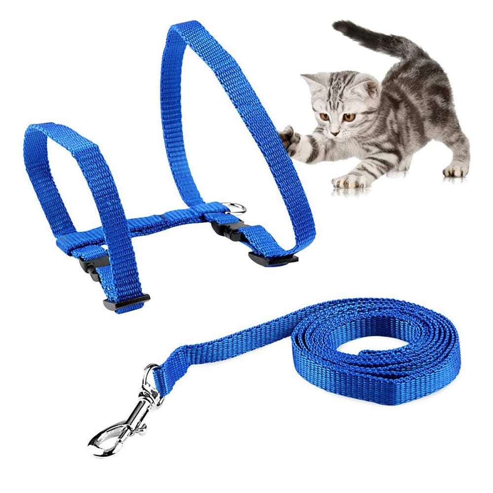 Laufgeschirr Brustgeschirr mit Leine Set für Katzen, kleine Hunde und Welpen