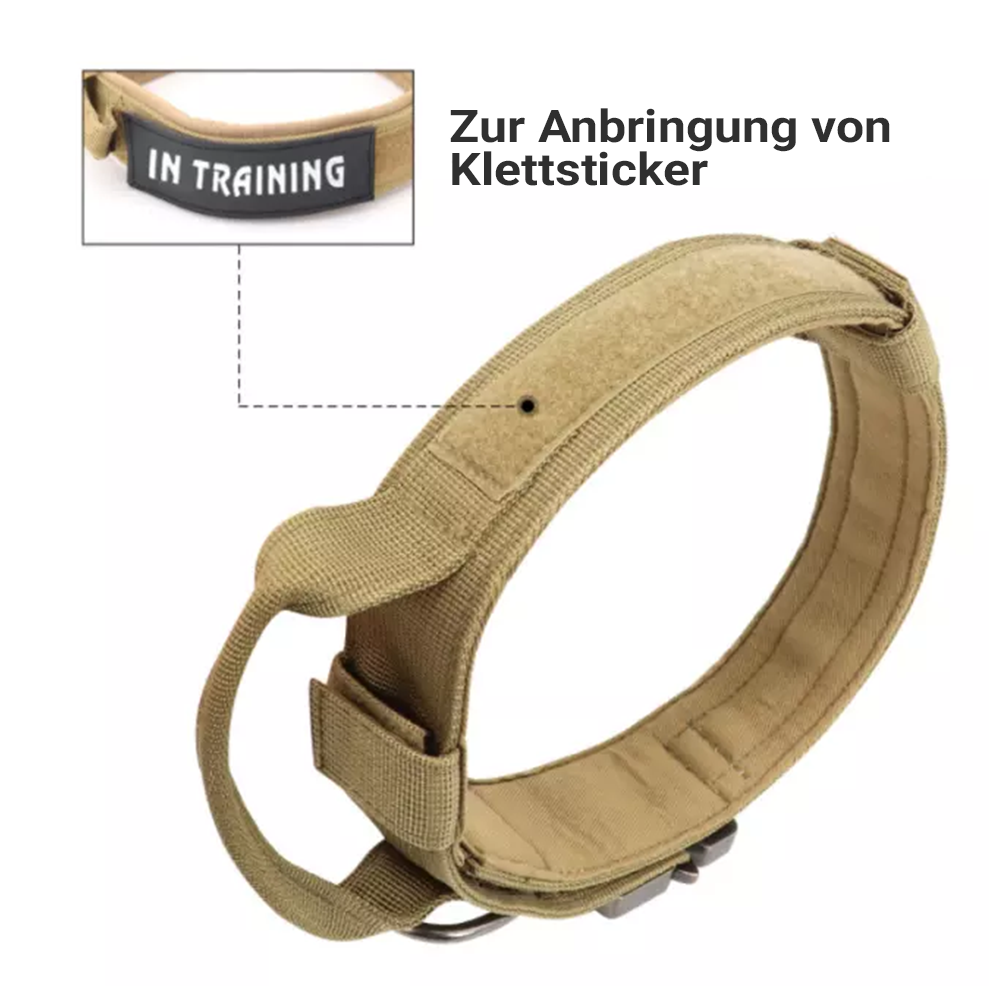 Nylon Outdoor Halsband mit Griff in 3 Farben