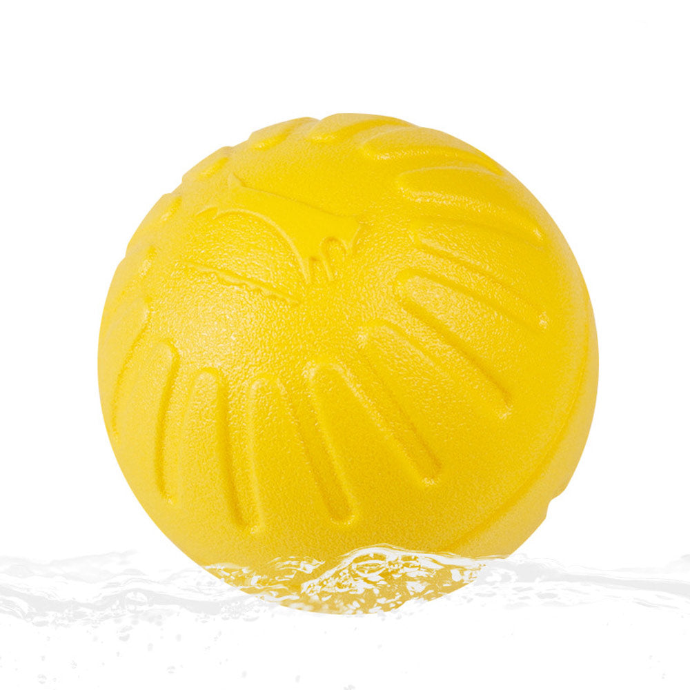 Hunde Kauspielzeug Outdoor Ball Schwimmspielzeug Wurfball Langlebig Bissfest Wasserfest Hauptbild