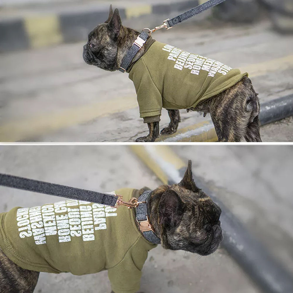 Verstellbares Hundehalsband mit Leine (2m) Set Fischgrätenmuster