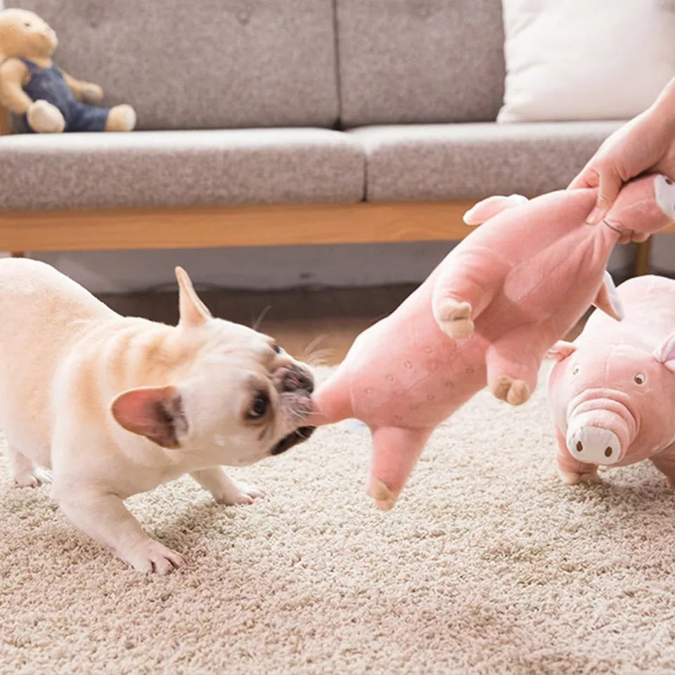 Schwein Siggi Hunde Plüsch Kuscheltier und Kau Spielzeug