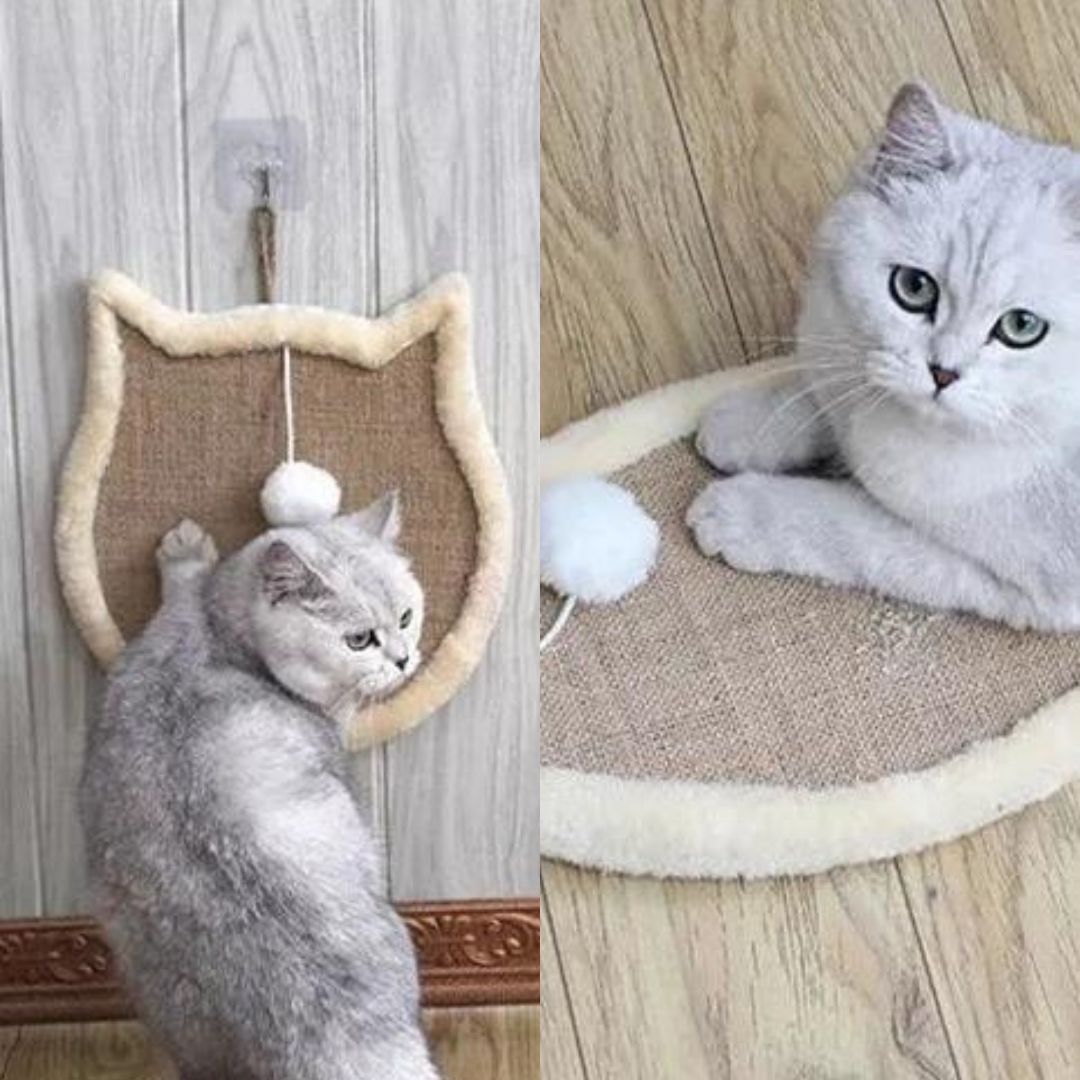 Katzenspielzeug Kratzspiel Katzen Spielzeug Kratzbrett Sisal 2 Motive