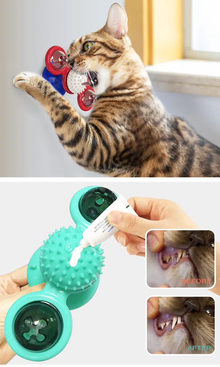Interaktives Katzenspielzeug Massagefunktion Katzenminze rotierend 5 Farben