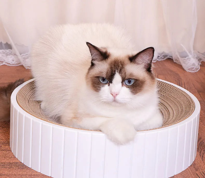 Katzen Kratzspiel Spielzeug Kratzbrett Katzenliege mit Katzenminze Lounge 3 Farben